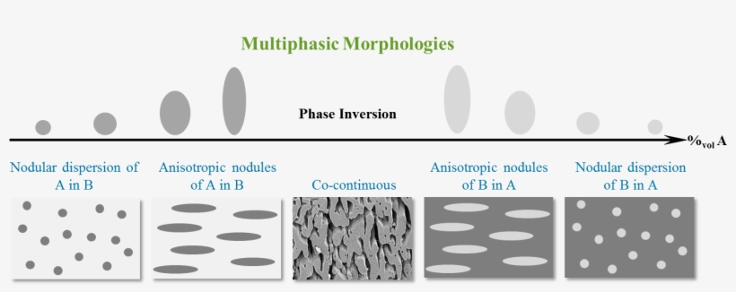Fractionated Crystallization At Lower Temperature Was - Co Continuous Polymer Blend, transparent png download