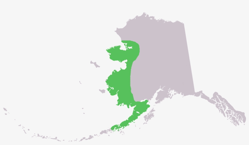 Lepus Othus Range In Ak - Alaska Map Clipart, transparent png download