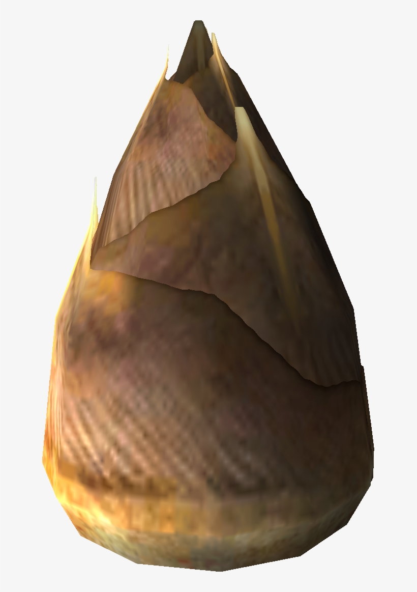 Macoma, transparent png download