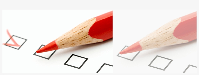 Leidy Berroa - Election, transparent png download