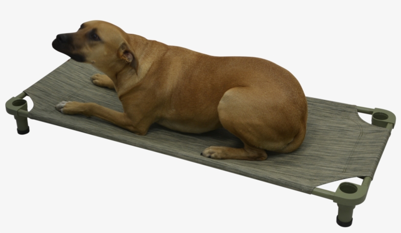 Mahar Pet Cot - Companion Dog, transparent png download