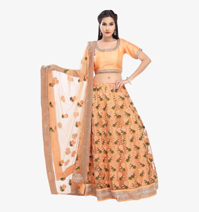 Ghagra, transparent png download