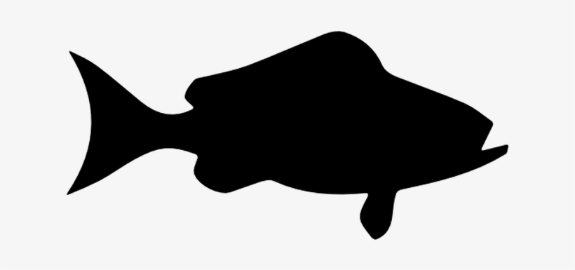 Clip Art Transprent Png, transparent png download