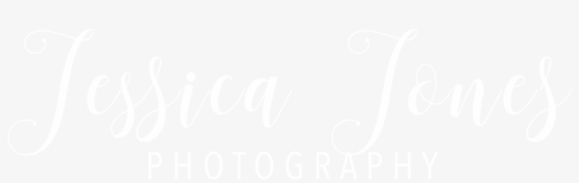 Home - Connect - Toronto Film Festival Logo White, transparent png download
