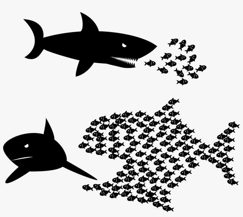 Big Image - Great White Shark, transparent png download