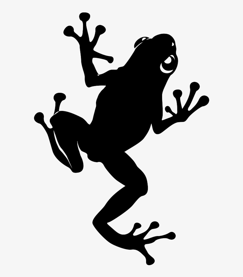Cropped 48412937 1070201693151715 2213861293817856000 - True Frog, transparent png download