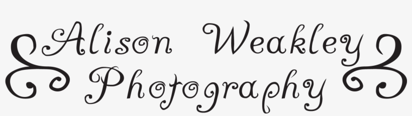 Alison Weakley Photography - Calligraphy, transparent png download