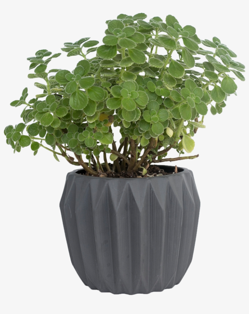 Black Fluted Flower Pot, transparent png download
