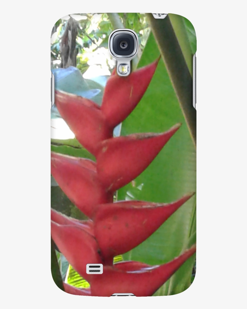 Tropical Flower Phone Case - Mobile Phone Case, transparent png download