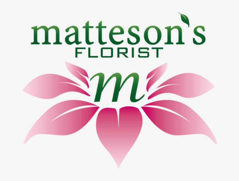 David Safier, transparent png download