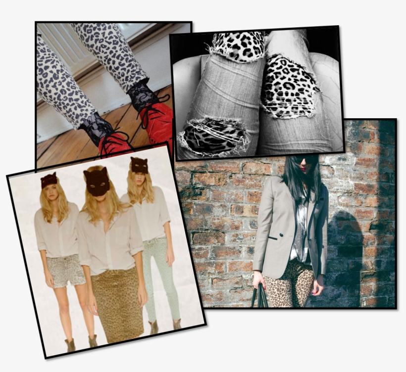 Leopard Print Denim, transparent png download