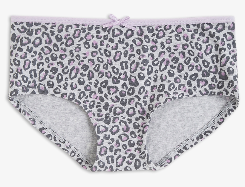 Leopard Print Briefs 5,99 Eur - Panties, transparent png download