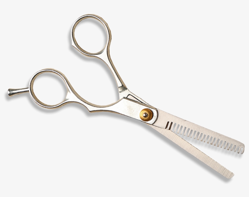 About Kelsey Salvati - Scissors, transparent png download