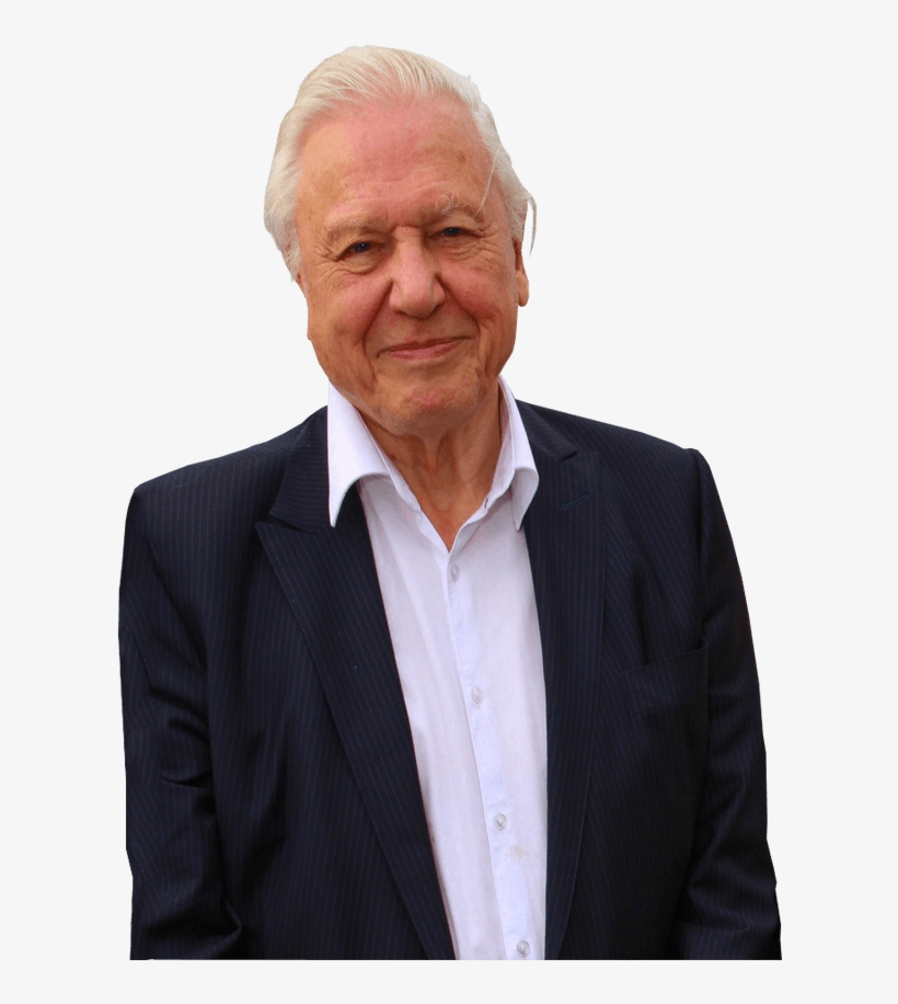 Sir David Attenborough Transparent Background Transparent - David Attenborough No Background, transparent png download