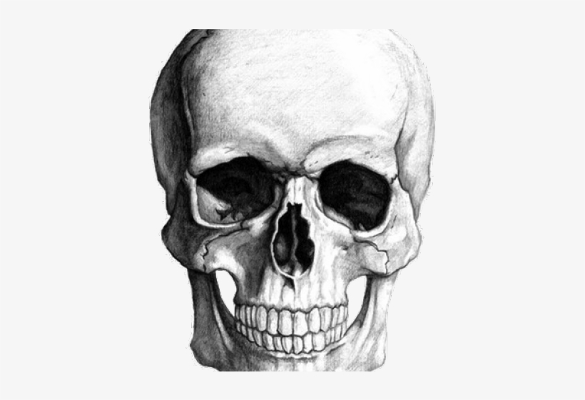 Drawn Bones Transparent Background - Skull Transparent Background Gif, transparent png download