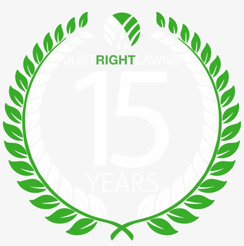 Serving Austin Texas For Over 15 Years - You Used To Be Alright, transparent png download