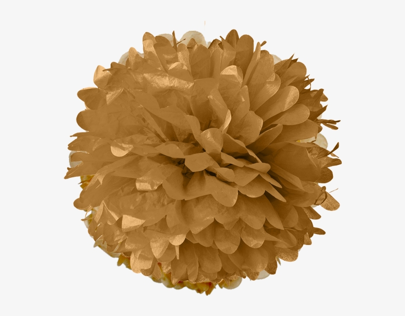 Gold Tissue Pom Poms - Orange Pom Poms Png, transparent png download