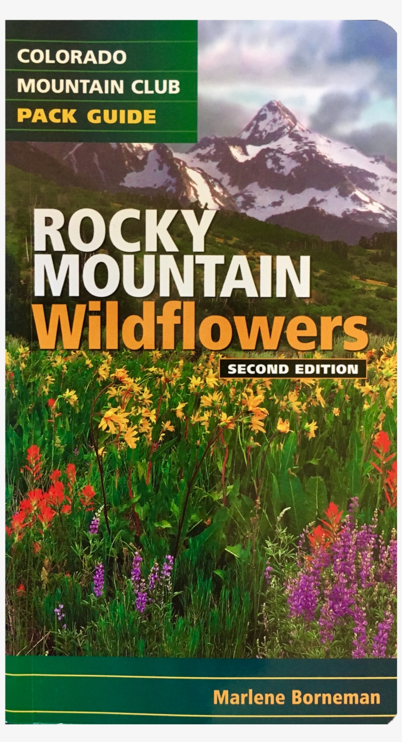 Shop - Tickseed, transparent png download