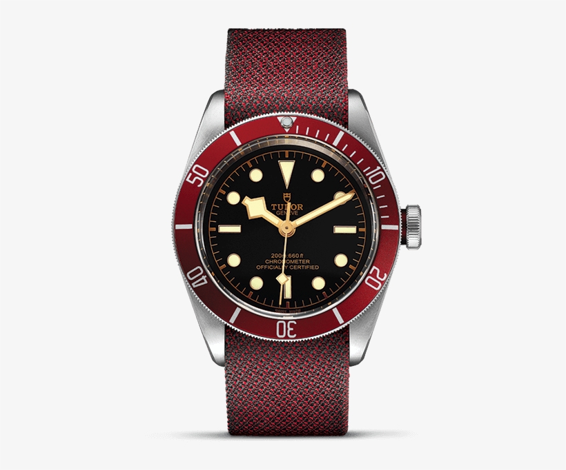 Lady Gaga's Selection - Tudor Black Bay, transparent png download