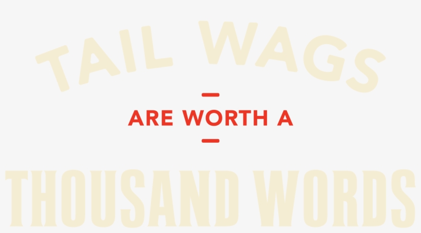 Feeding Raw May Seem Like A Massive Undertaking, Which - Würth, transparent png download