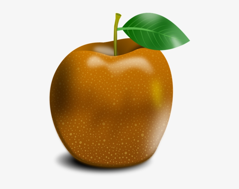 Apple, transparent png download