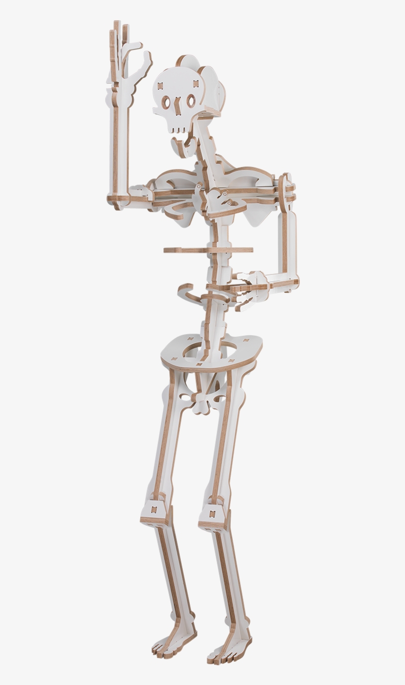 Skull Mannequin, transparent png download