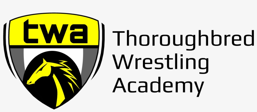 Stallion, transparent png download