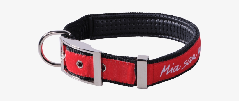 Strap, transparent png download