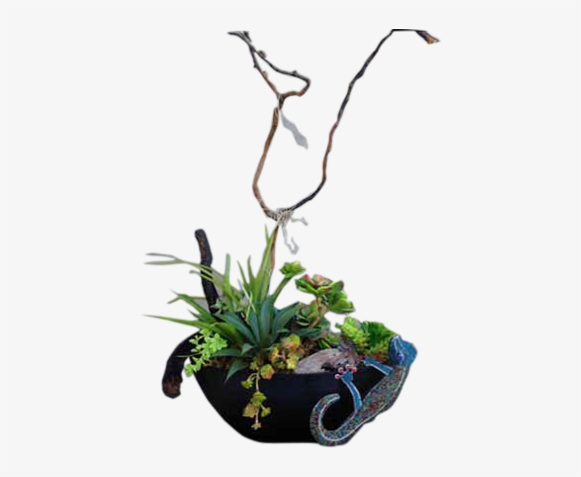 Chameleon Succulents - Ikebana, transparent png download