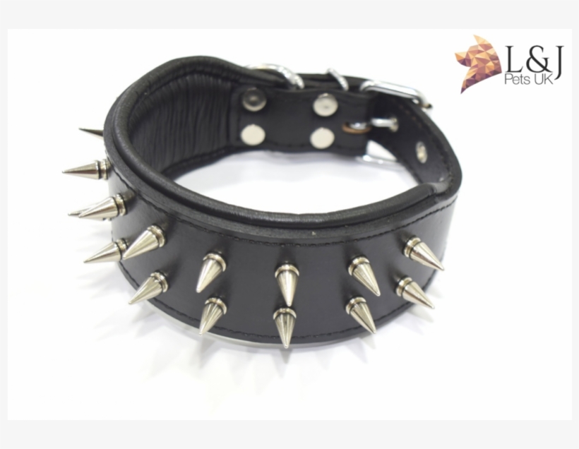 Hand Made Dog Collar, Spiked, French Bulldog Frenchie - Dog, transparent png download