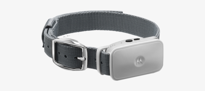 Bark200u Na Fr 2 1 - Strap, transparent png download