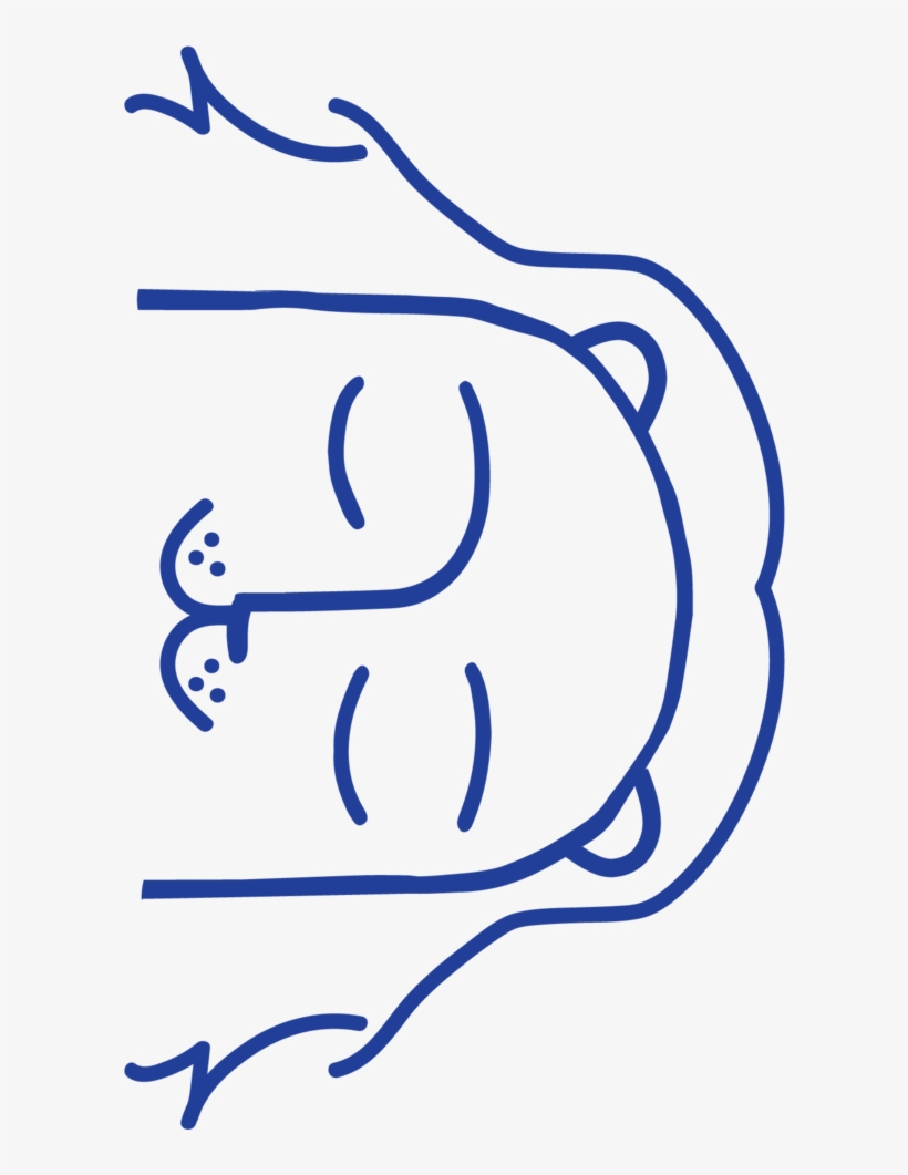 Artboard 1 Copy 2, transparent png download