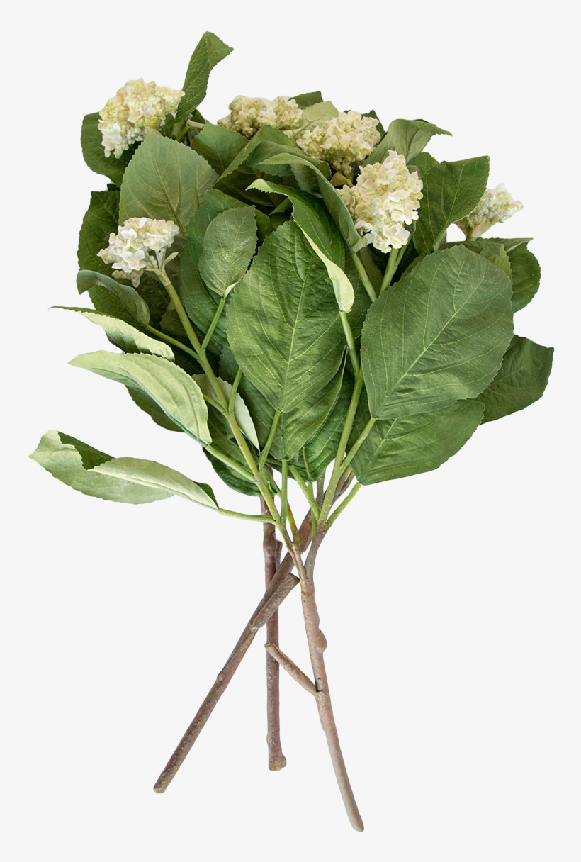 Faux Hydrangea Stem - Bouquet, transparent png download