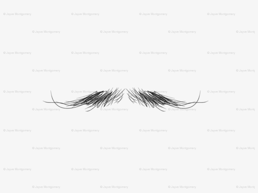 Eyelash Extensions, transparent png download