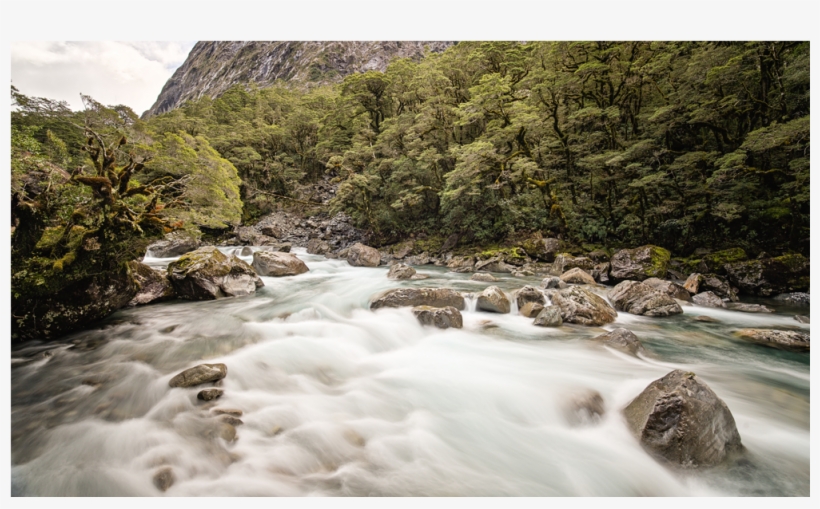 Score 50% - Tributary, transparent png download