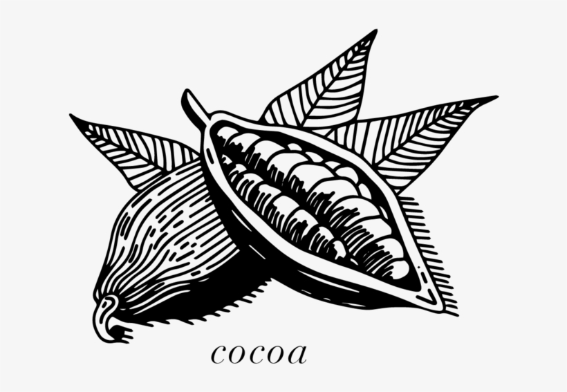 Windmill Cocoa R2, transparent png download