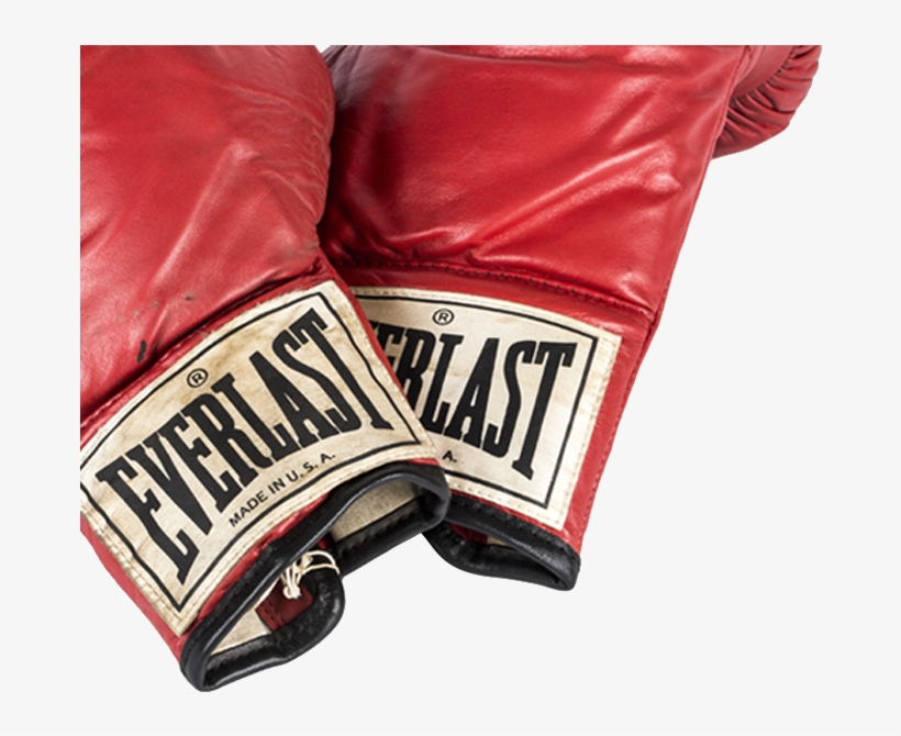 Everlast, transparent png download