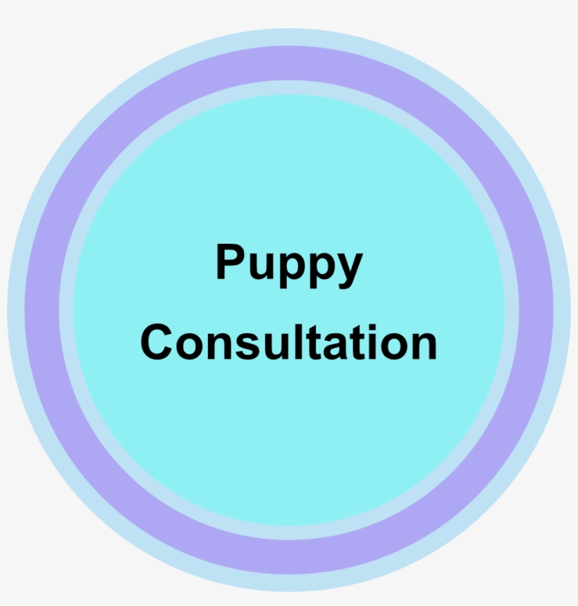 Puppy-consultation - Consultation Room, transparent png download