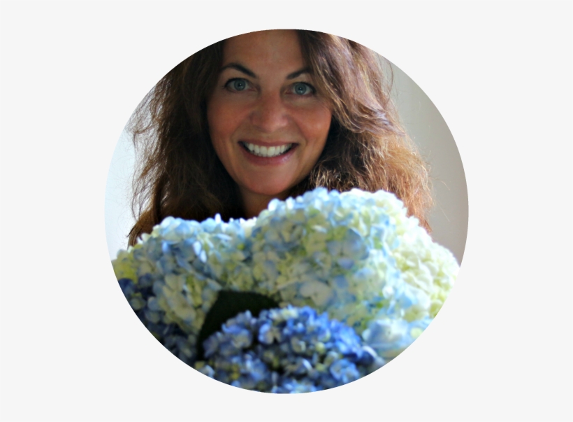 Me And Hydrangea - Hydrangea, transparent png download