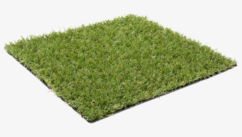 Astra Avocado - Grass Sheet, transparent png download