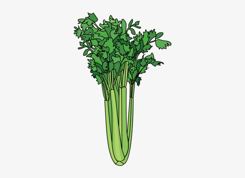 Cruciferous Vegetables, transparent png download