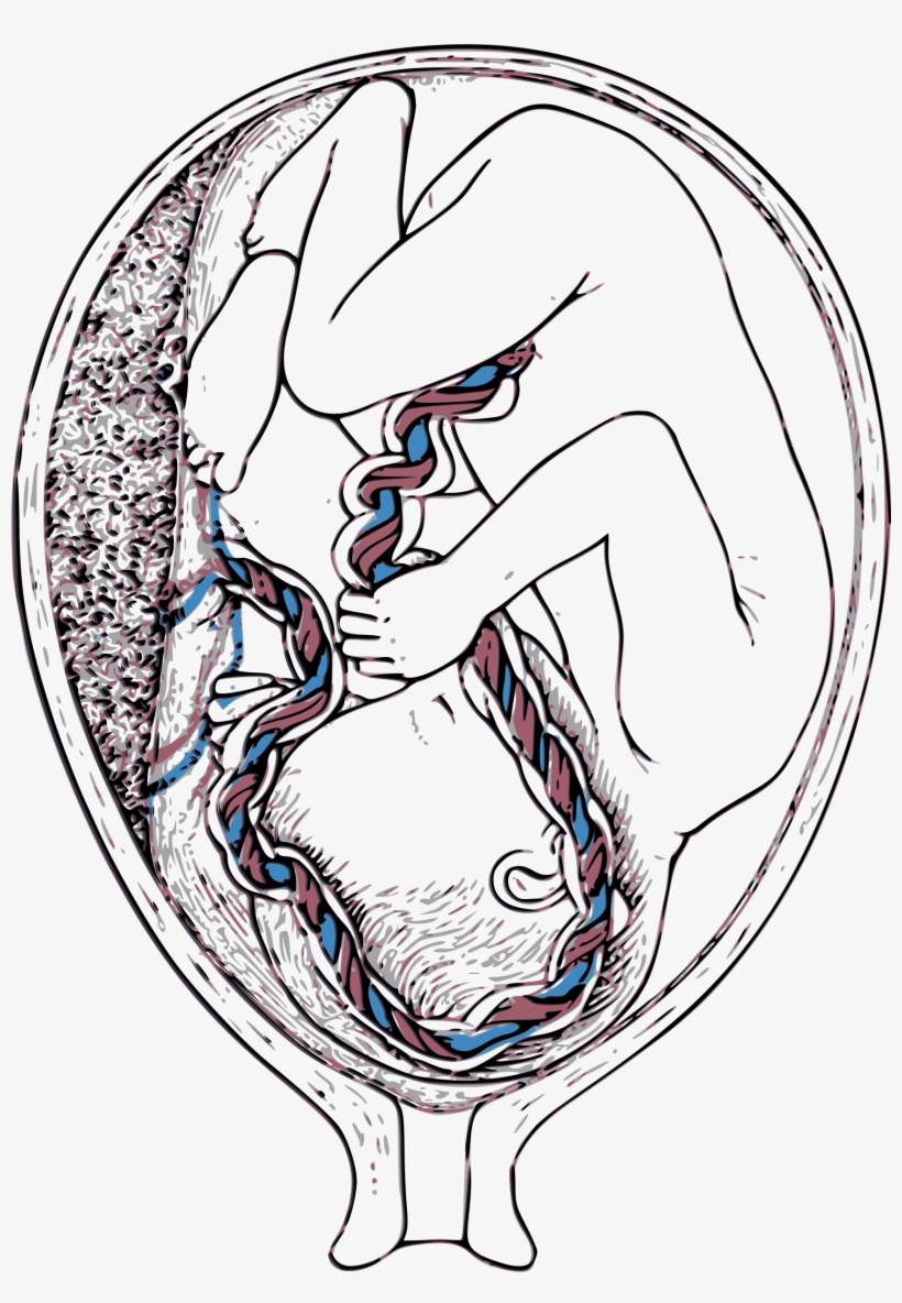 This Free Icons Png Design Of Inside Mother, transparent png download