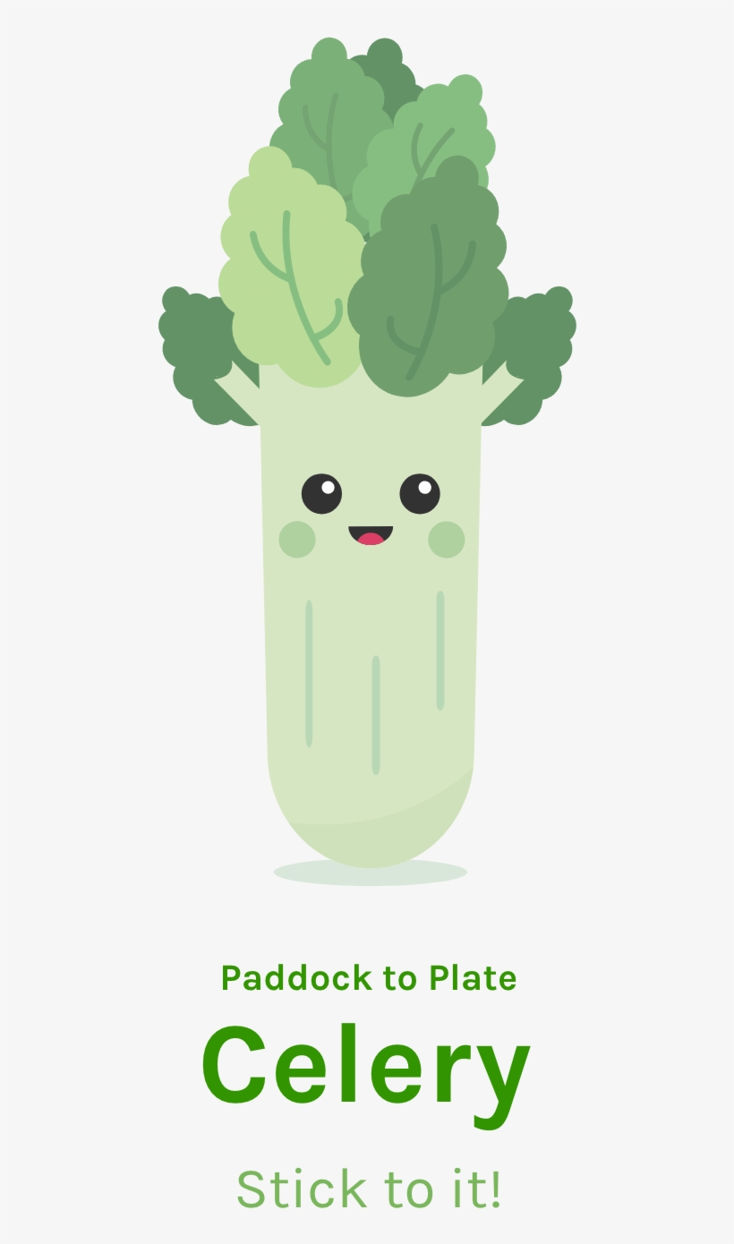 Cauliflower, transparent png download