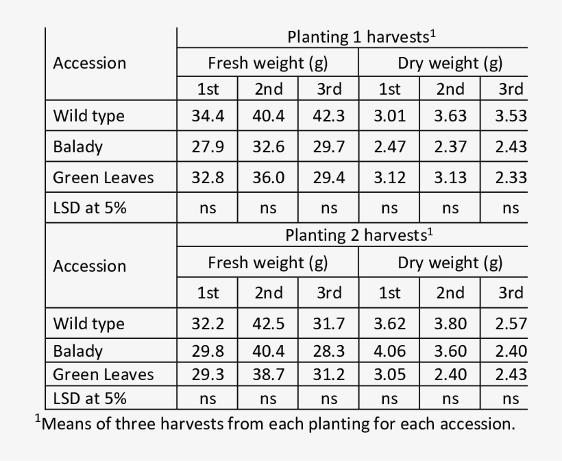 Fresh And Dry Weights Of Celery Accessions - Hairstyle Word Search, transparent png download
