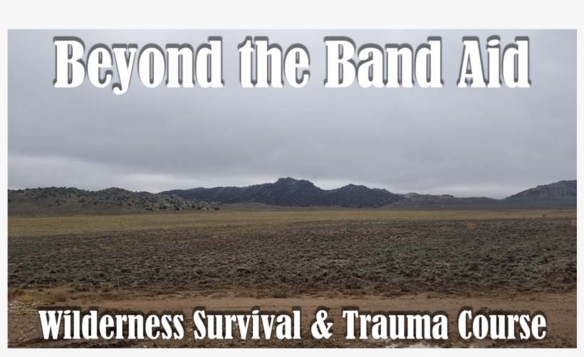 Beyond The Band Aid - Steppe, transparent png download