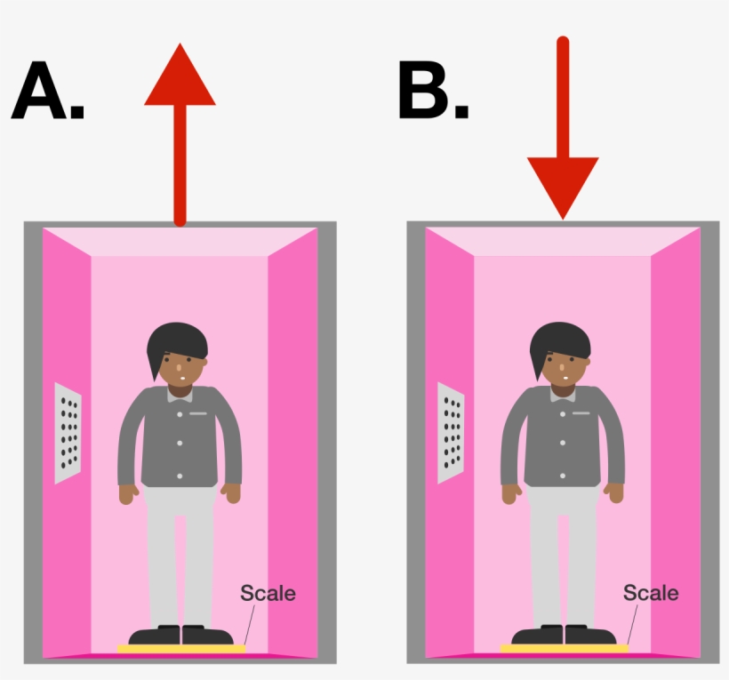 The Red Arrows Indicate The Direction Of Motion - Motion, transparent png download
