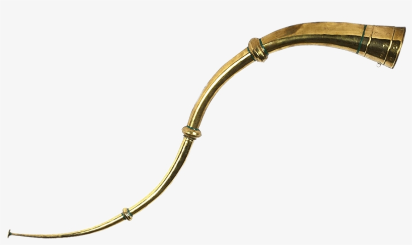 Gold Kombu - Tutari Funny Images Png, transparent png download