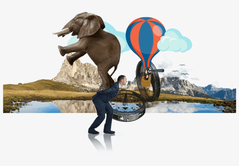 Regulatory Reviews For Wealth - Resiliência Profissional, transparent png download