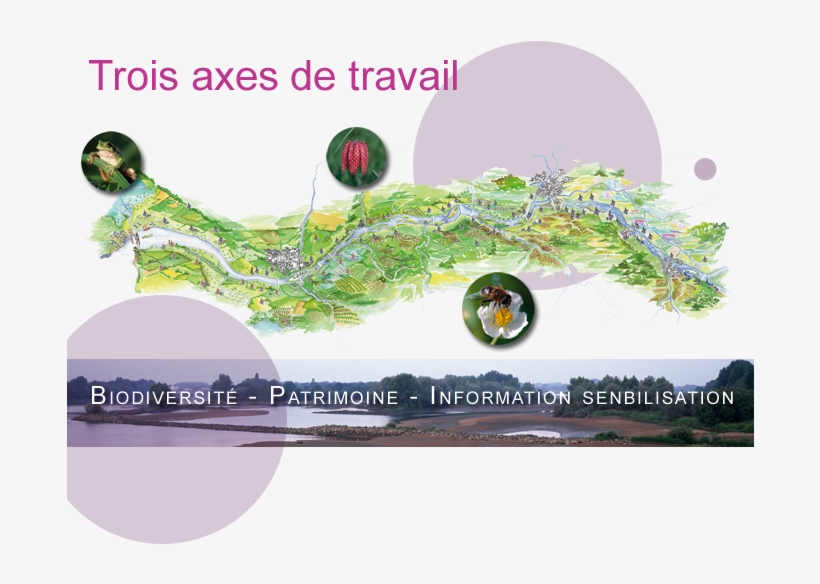 Fondloire4 - Graphic Design, transparent png download