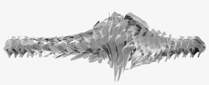 C - Desert Palm, transparent png download